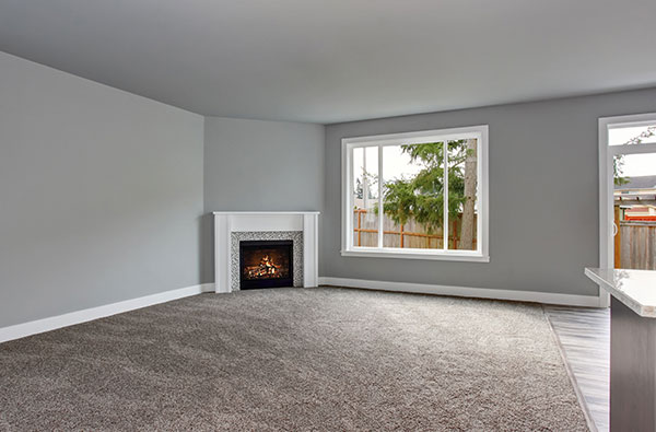 living room with clean grey carpet